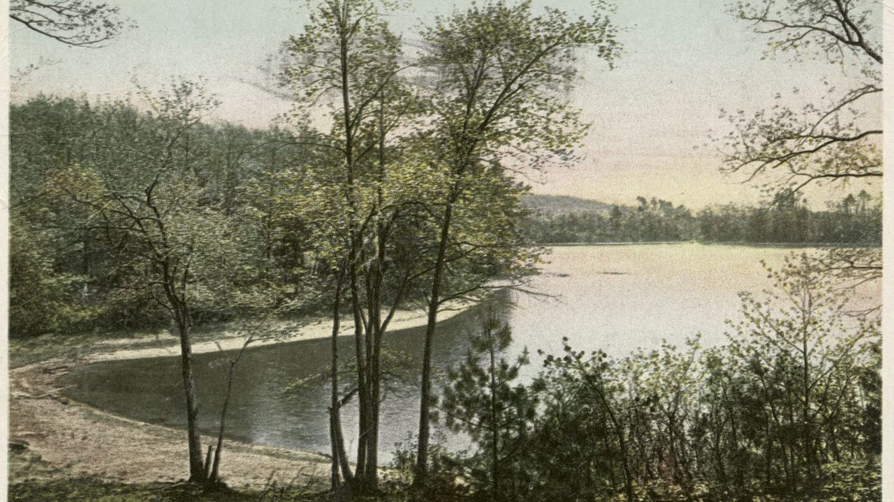 The tree-lined shore of Walden Pond at Thoreau's Cove, in a hand-colored postcard view. Artwork: Thoreau's Cove, Lake Walden, by Detroit Publishing Company.